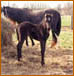 Hi ! My name is Angel. Click here to see more about me please.